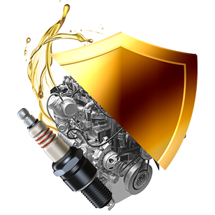 warranty-section-icon